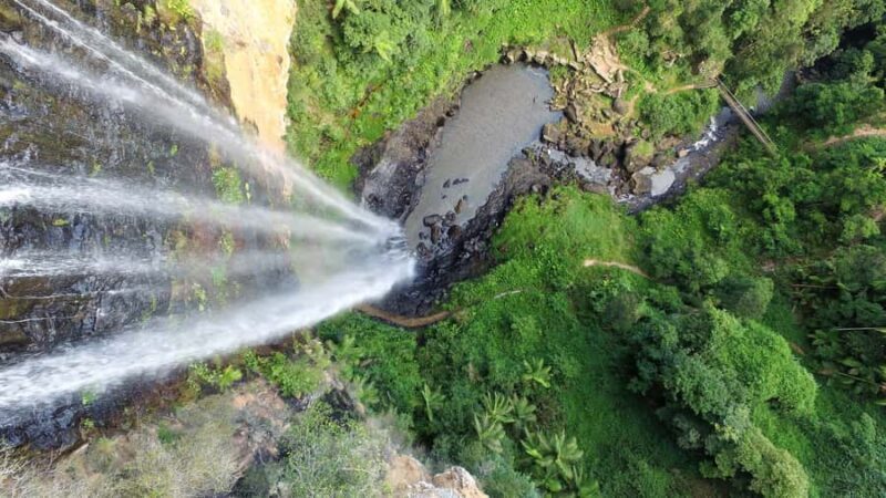 Gold Coast: Natural Bridge & Springbrook Waterfalls Tour - Final Thoughts on Value and Suitability
