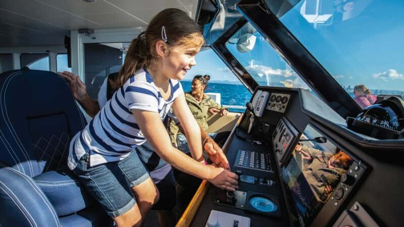 Gold Coast: Premium Whale Watching Cruise - What Travelers Say: Authentic Experiences from Reviews