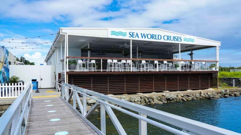 Gold Coast: Premium Whale Watching Cruise - Final Summary