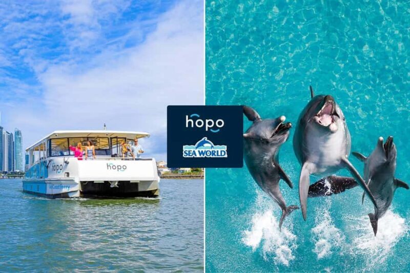 Gold Coast: Sea World Cruise & Entry Combo Ticket - A Detailed Look at the Experience