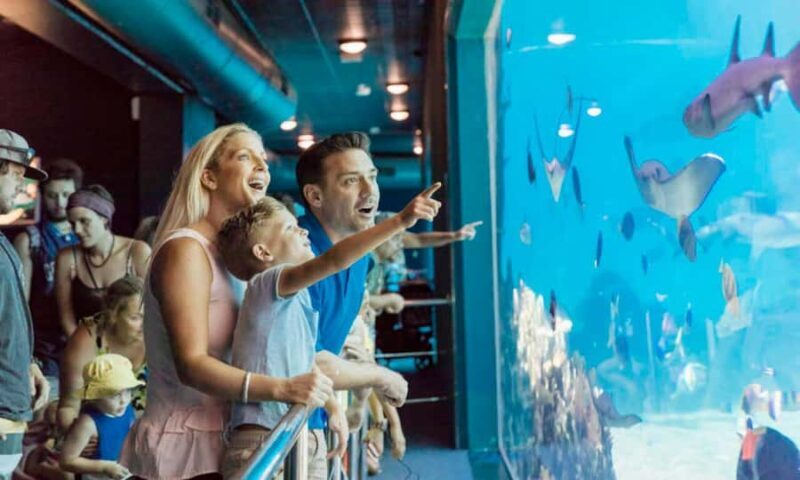 Gold Coast: Sea World Cruise & Entry Combo Ticket - Final Thoughts: Is It Worth It?