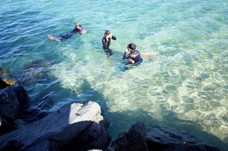 Gold Coast: Snorkelling in Wave Break Island - Key Points