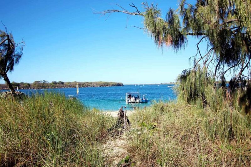 Gold Coast: Snorkelling in Wave Break Island - A Practical Overview of the Tour Experience