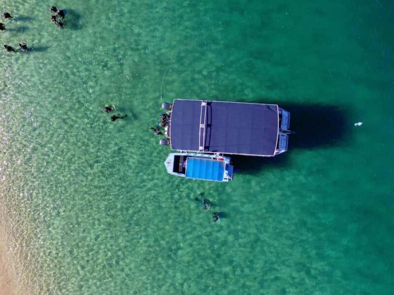 Gold Coast: Snorkelling in Wave Break Island - The Value of This Tour