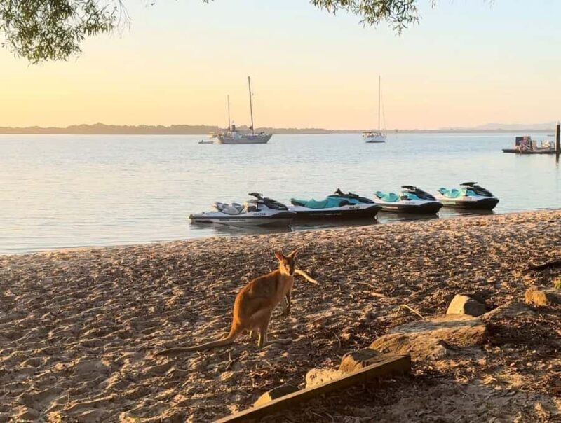 Gold Coast: Stradbroke Island Jetski Tour - Who Should Consider This Tour?