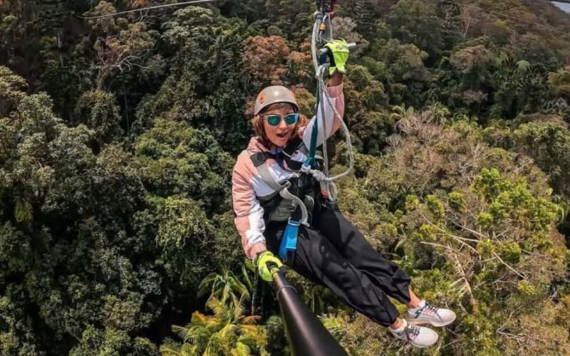 Gold Coast: Tamborine Mountain Canyon Flyer Zipline Tour - Key Points