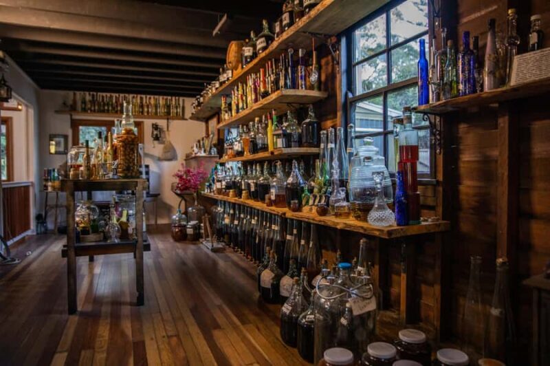 Gold Coast: Tamborine Mountain Local Winery Tour with Lunch - Authentic Experiences and Reviews