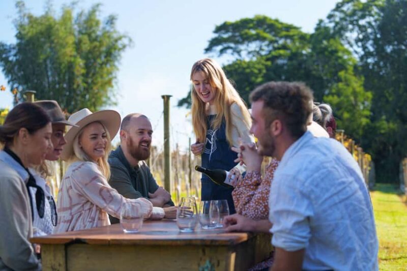Gold Coast: Tamborine Mountain Wine Tour with 2-Course Lunch - The Value of the Experience
