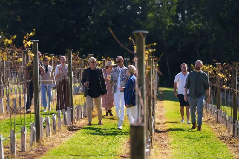 Gold Coast: Tamborine Mountain Wine Tour with 2-Course Lunch - FAQ: Your Practical Questions Answered