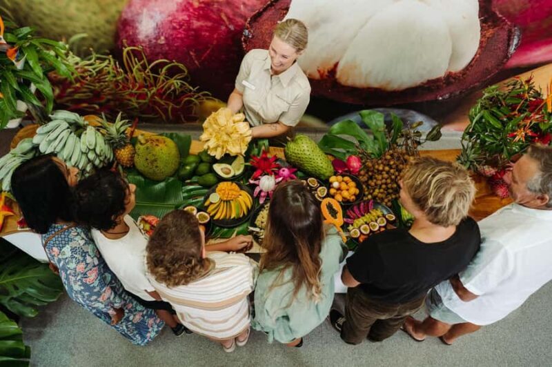 Gold Coast: Tropical Fruit World Full Farm Tour - Key Points