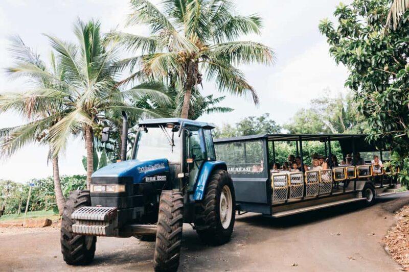 Gold Coast: Tropical Fruit World Full Farm Tour - A Detailed Look at the Experience