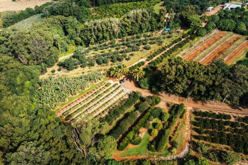 Gold Coast: Tropical Fruit World Full Farm Tour - Final Thoughts