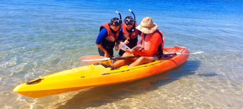 Gold Coast: Wave Break Island Kayaking & Snorkeling tour - Authentic Experiences and Real Guest Insights