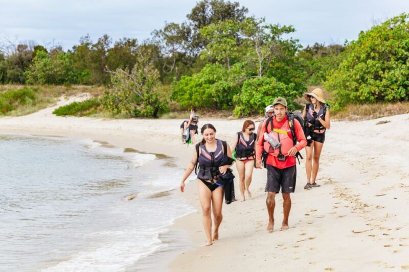Gold Coast: Wave Break Island Kayaking & Snorkeling tour - The Sum Up