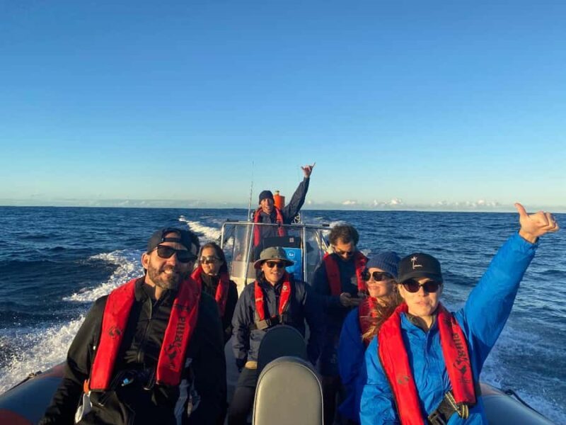 Gold Coast: Whale Watching - Key Points