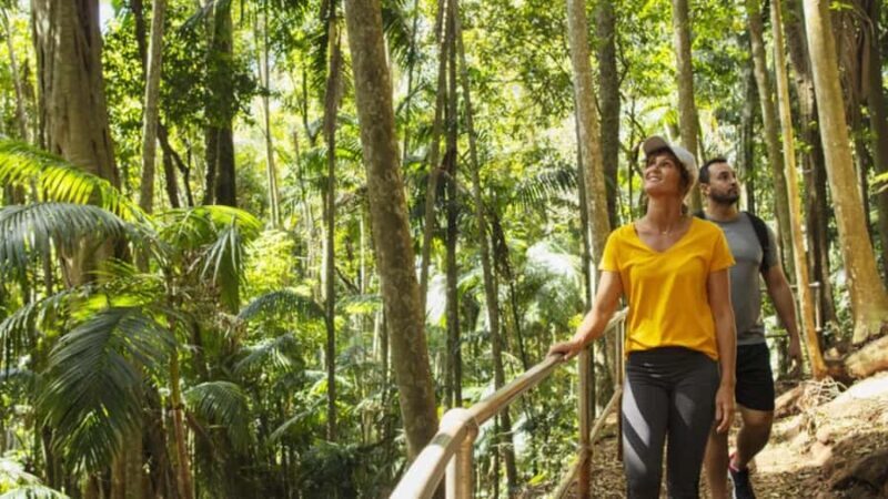 Gold Coast: Wine, Distillery & Rainforest Day Tour - Key Points