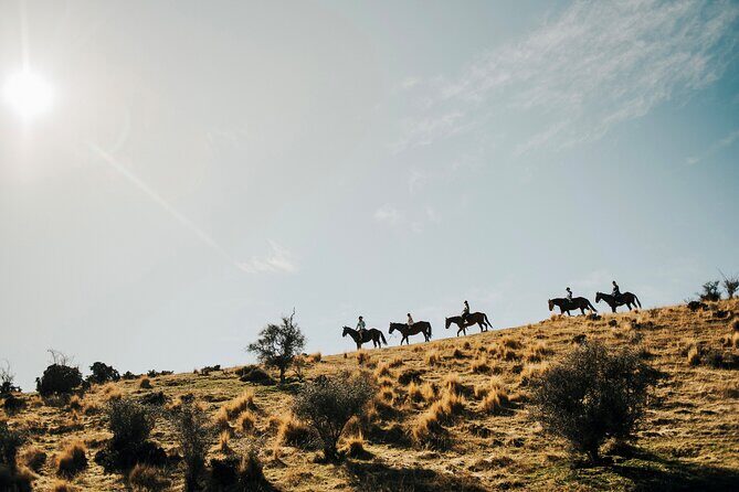 Gold Discovery Trail Horse Trek Cardrona - Most popular! - Introduction: A Scenic Ride into Otago’s Gold Mining Past