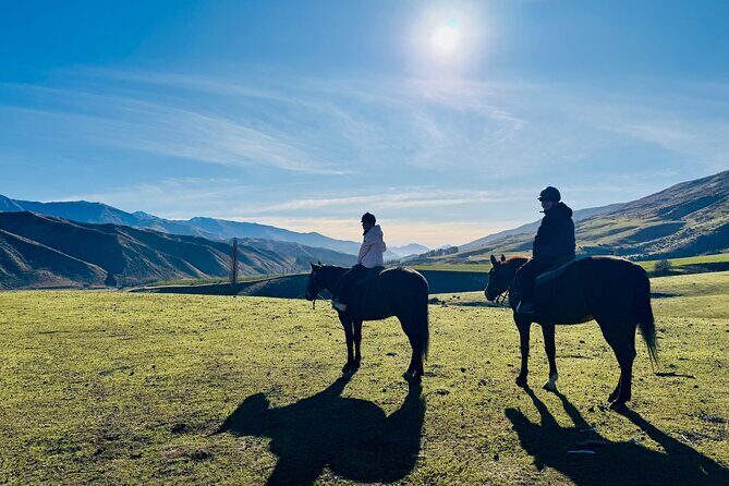 Gold Discovery Trail Horse Trek Cardrona - Most popular! - Price and Value: Is It Worth It?