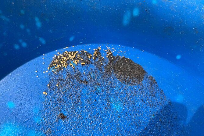 Gold Panning Activity at Mission Creek - Introduction