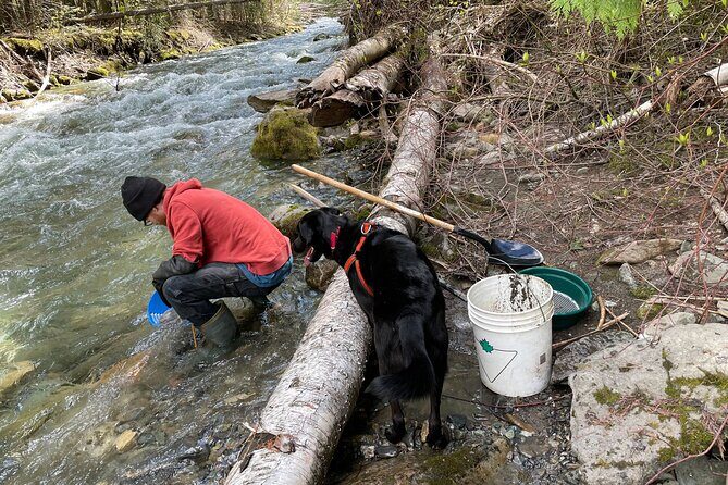 Gold Panning Activity at Mission Creek - FAQ