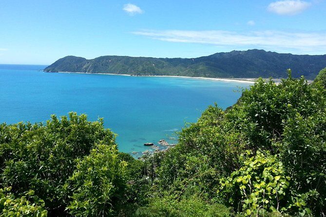 Golden Bay in a Day - Key Points