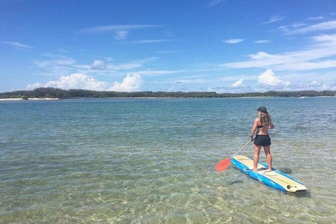 Golden Beach 1-Hour Stand-Up Paddleboard Hire on the Sunshine Coast - Setting the Scene: What to Expect During Your Paddleboard Hire