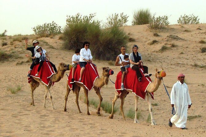Golden Dunes & Sunset Safari with BBQ, Camel Ride & Sandboarding - FAQ