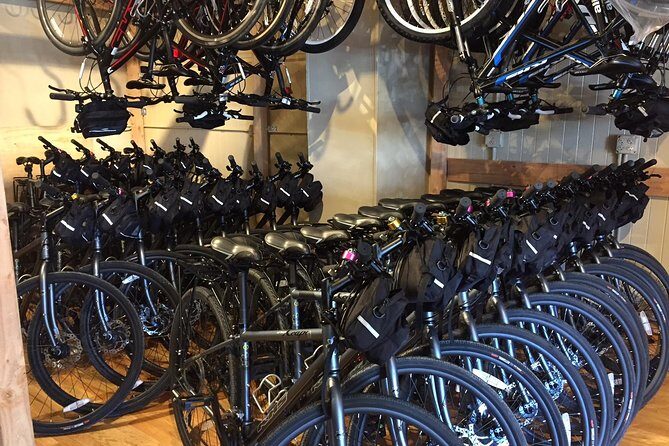 Golden Gate Bridge Electric Bike Rentals (E-Bike Rentals All day) - The Sum Up