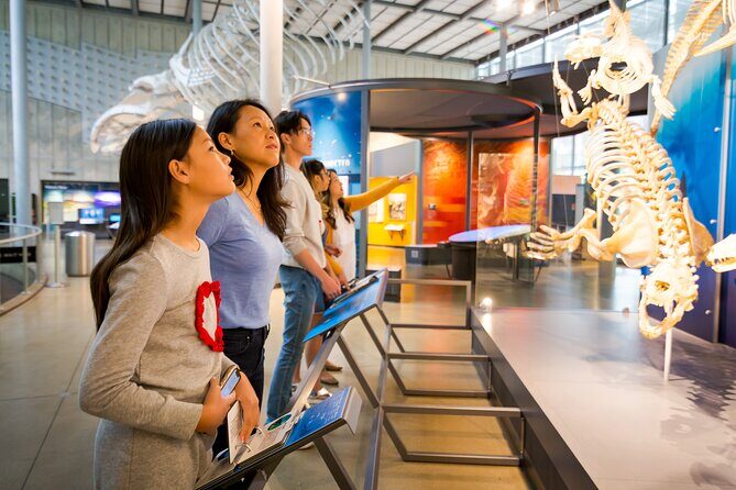 Golden Gate Park Tour With California Academy of Sciences Ticket - Final Thoughts
