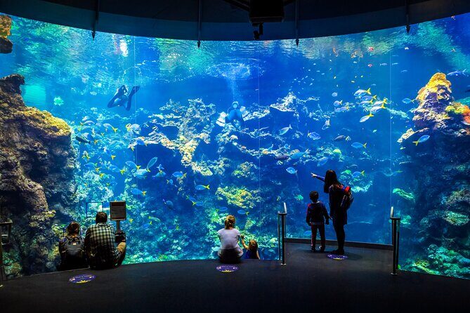 Golden Gate Park Tour With California Academy of Sciences Ticket - FAQ