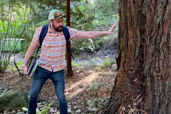 Golden Gate Park's Hidden Gems, Highlights and History - Why This Tour Offers Genuine Value