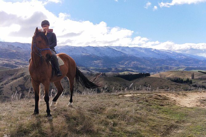Golden Hills Horse Trek in Central Otago - What You Can Expect from This Horseback Adventure