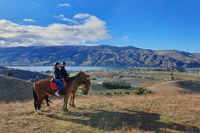 Golden Hills Horse Trek in Central Otago - Why This Tour Works