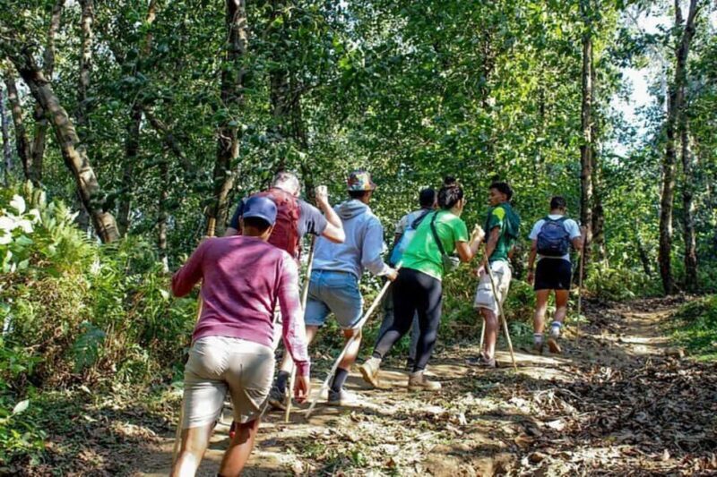 Golden Monkey Trekking with lunch - Key Points