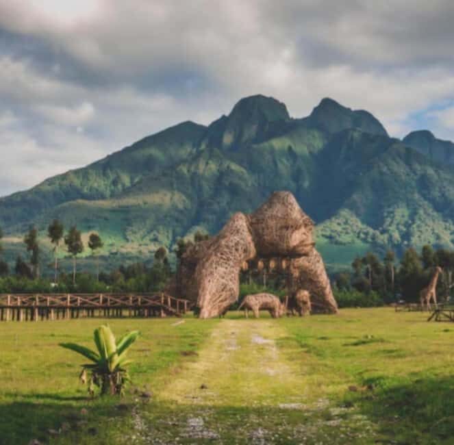 Golden Monkey Trekking with lunch - The Sum Up: Is This the Right Tour for You?