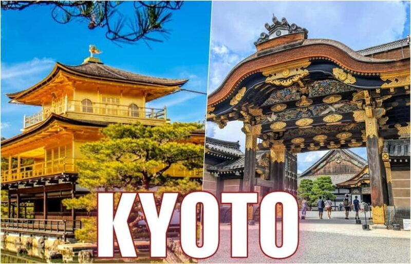 Golden Pavilion, Nijo Castle, & Nishiki Market Half day tour - Key Points