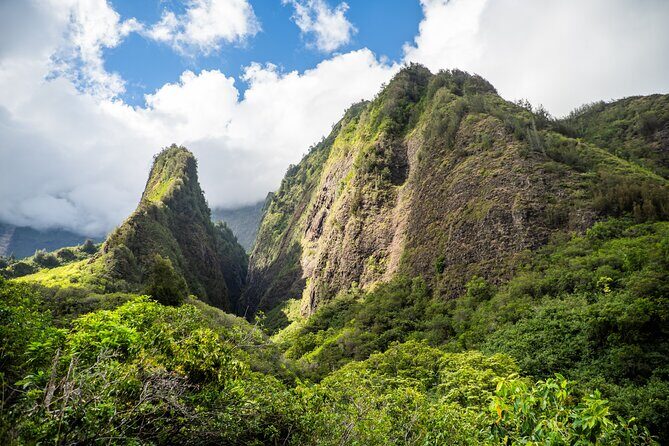 Golden Pineapples & Hidden Gems: A Private Upcountry Tour - An In-Depth Look at the Tour
