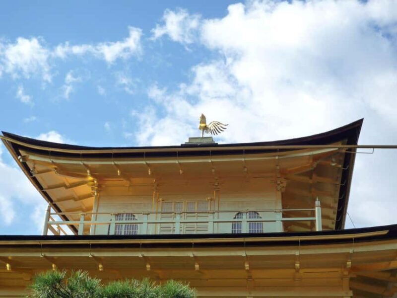 Golden Reflections: Morning at Kinkaku-ji & Zen Gardens - Final Thoughts: Is This Tour for You?