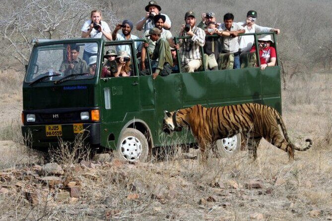 Golden Triangle & Ranthambore: 4-Day Private Tour from Delhi - FAQs