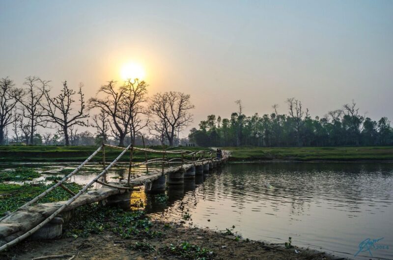 Golden Triangle Tour - Traveler Reviews and Feedback