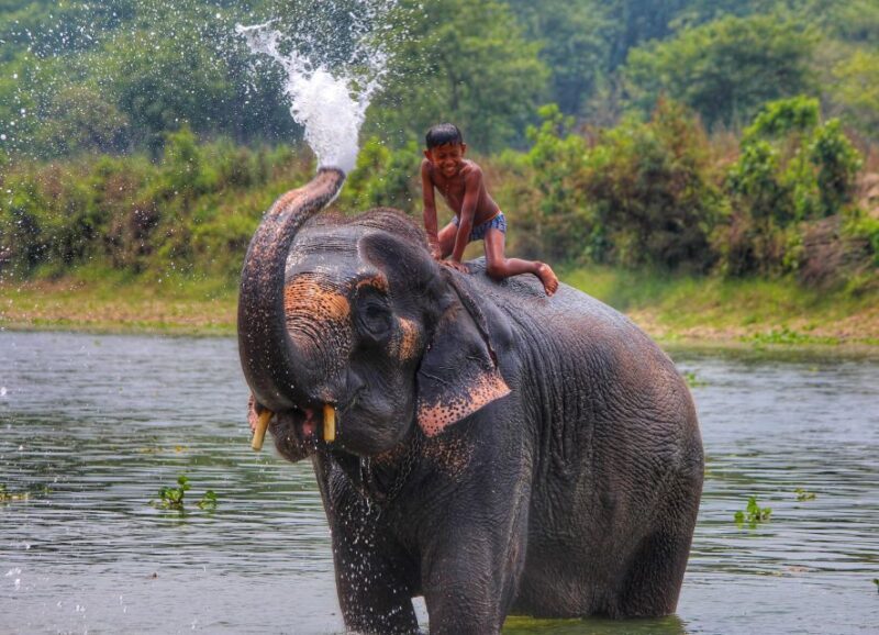 Golden Triangle Tour - FAQ