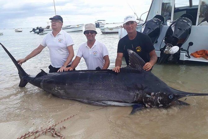 GOLDEN WAVE 3 - IGFA Captain Vic - Blue Marlin Fishing - Who Will Love This Tour?