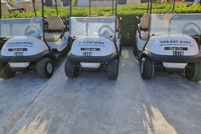 Golf Cart Rental in Grand Turk (4-seater) - Why Choose This Golf Cart Rental?