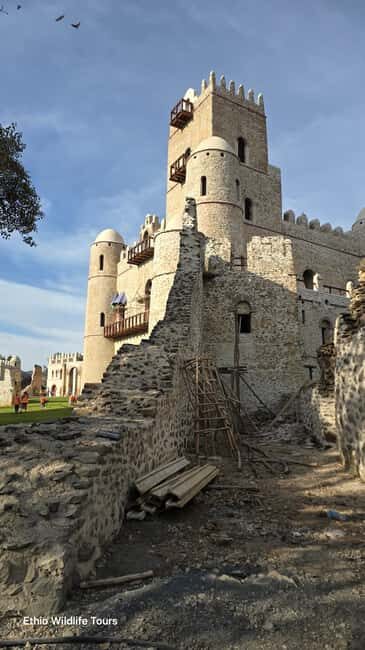 Gondar: City Tour with Fasil Ghebbi & Debre Berhan Selassie - Key Points