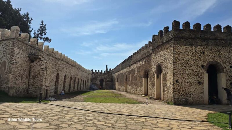 Gondar: City Tour with Fasil Ghebbi & Debre Berhan Selassie - Practical Tips for Your Day
