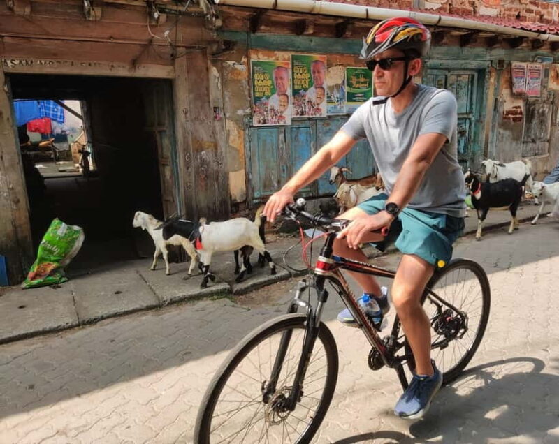 Good Morning Kochi Bicycle Tour - Authenticity and Local Life: What You’ll Experience