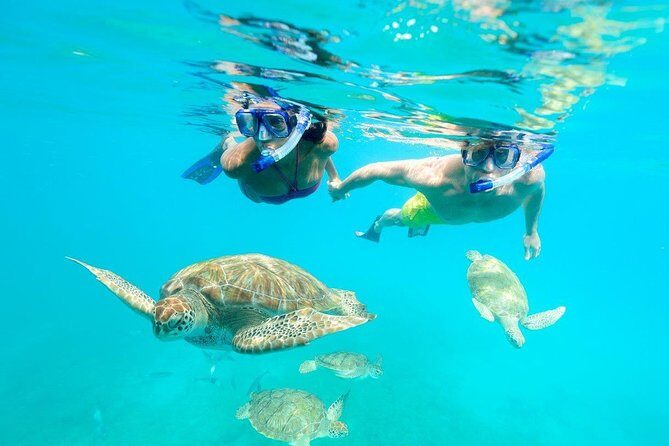 Good Times Exclusive Catamaran Cruise - The Highlights from Guest Reviews