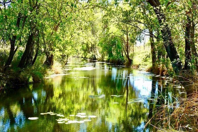 Gorgeous Gorges - Windjana & Bell Gorge, Mt Hart, Horizontal Fall - The Practical Side: What to Expect and Considerations