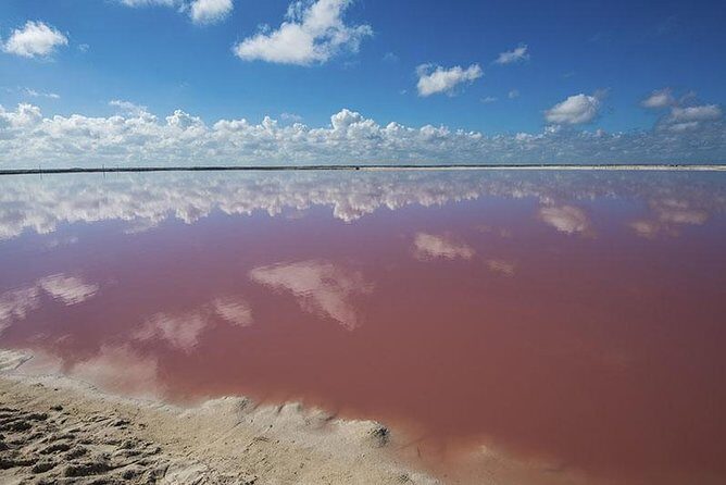 Gorgeous Natural Pink Lake, Las Coloradas Tour! From Cancun & Riviera Maya - The Sum Up