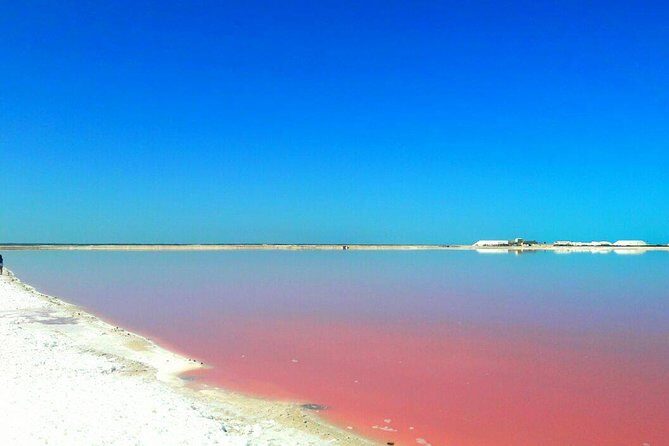 Gorgeous Natural Pink Lake, Las Coloradas Tour! From Cancun & Riviera Maya - FAQ
